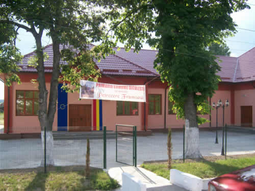 Caminul cultural